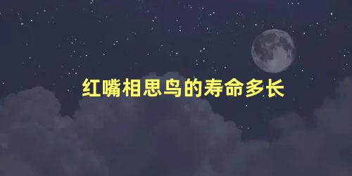 红嘴相思鸟的寿命多长