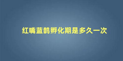 红嘴蓝鹊孵化期是多久一次