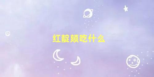 红靛颏吃什么