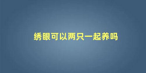 绣眼可以两只一起养吗