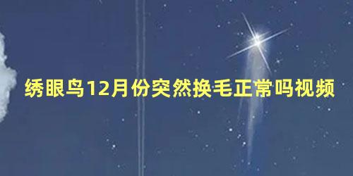 绣眼鸟12月份突然换毛正常吗视频