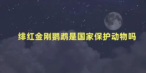 绯红金刚鹦鹉是国家保护动物吗