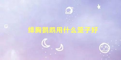 绯胸鹦鹉用什么笼子好