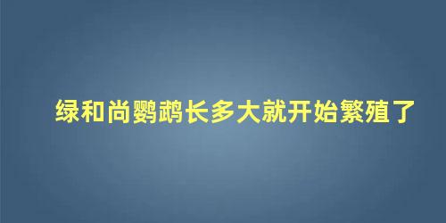 绿和尚鹦鹉长多大就开始繁殖了