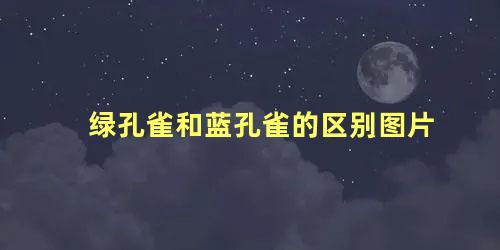 绿孔雀和蓝孔雀的区别图片