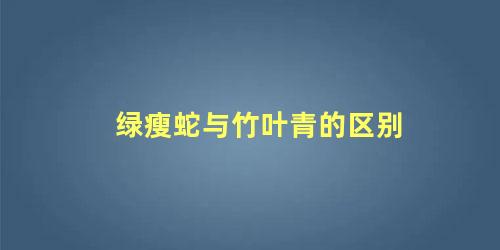 绿瘦蛇与竹叶青的区别