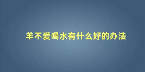 羊不爱喝水有什么好的办法