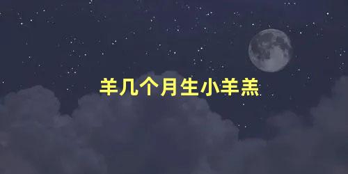 羊几个月生小羊羔