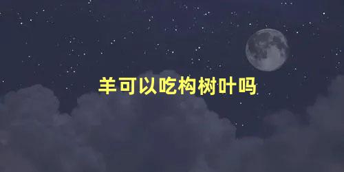 羊可以吃构树叶吗