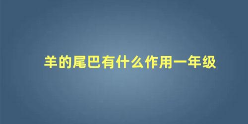 羊的尾巴有什么作用一年级