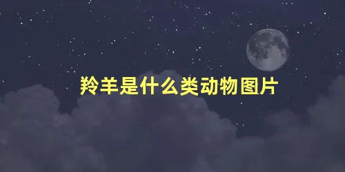 羚羊是什么类动物图片