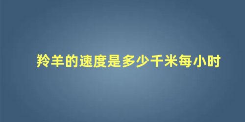 羚羊的速度是多少千米每小时