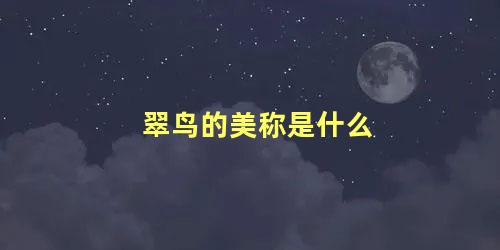 翠鸟的美称是什么