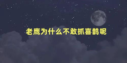 老鹰为什么不敢抓喜鹊呢