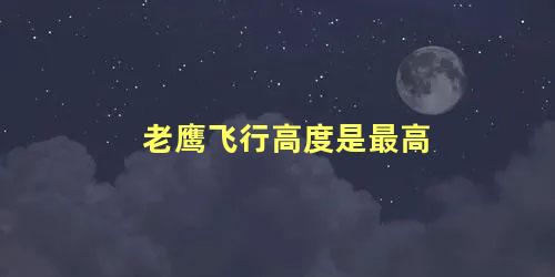 老鹰飞行高度是最高