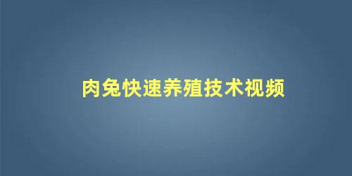 肉兔快速养殖技术视频