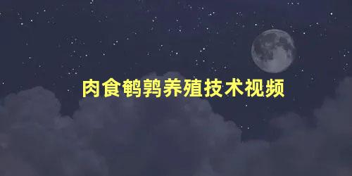 肉食鹌鹑养殖技术视频