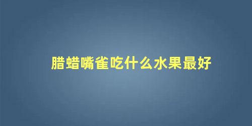 腊蜡嘴雀吃什么水果最好