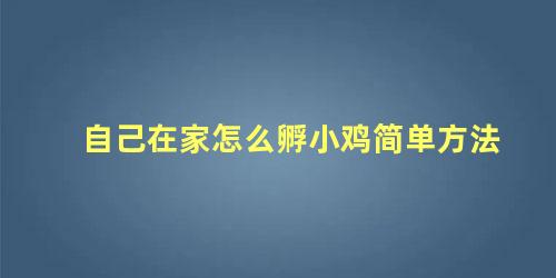 自己在家怎么孵小鸡简单方法