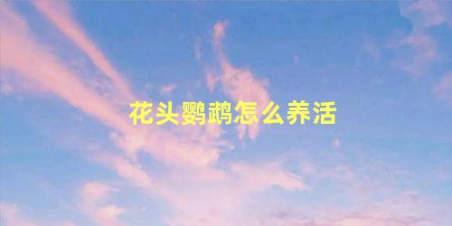 花头鹦鹉怎么养活