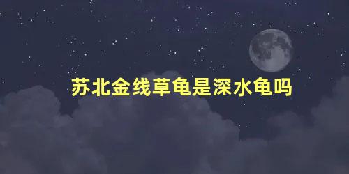 苏北金线草龟是深水龟吗