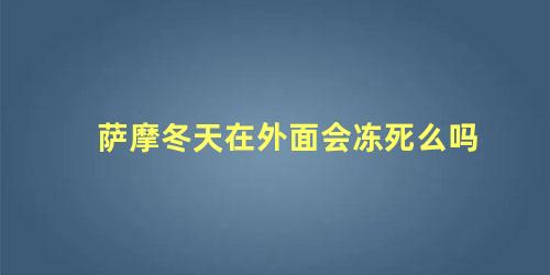 萨摩冬天在外面会冻死么吗