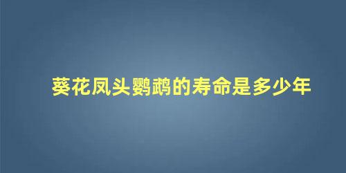 葵花凤头鹦鹉的寿命是多少年