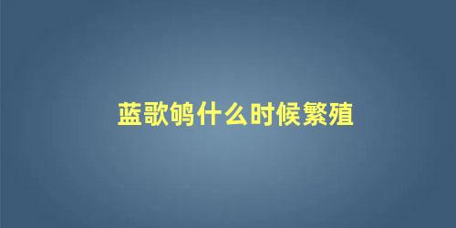 蓝歌鸲什么时候繁殖