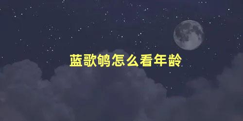 蓝歌鸲怎么看年龄