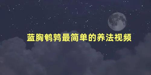 蓝胸鹌鹑最简单的养法视频