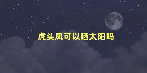 虎头凤可以晒太阳吗