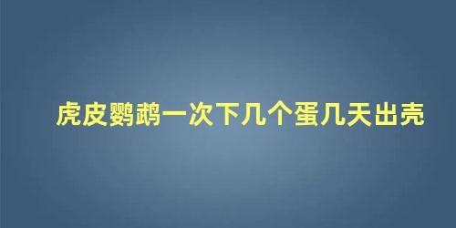 虎皮鹦鹉一次下几个蛋几天出壳