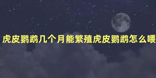 虎皮鹦鹉几个月能繁殖虎皮鹦鹉怎么喂养