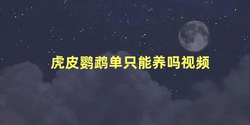 虎皮鹦鹉单只能养吗视频