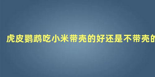 虎皮鹦鹉吃小米带壳的好还是不带壳的