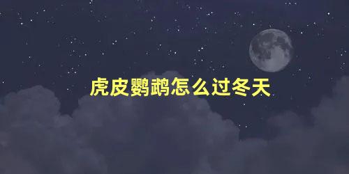 虎皮鹦鹉怎么过冬天