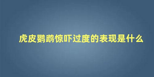 虎皮鹦鹉惊吓过度的表现是什么