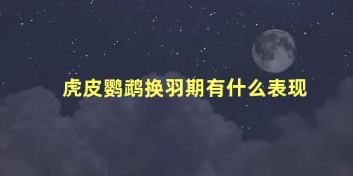 虎皮鹦鹉换羽期有什么表现