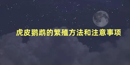 虎皮鹦鹉的繁殖方法和注意事项