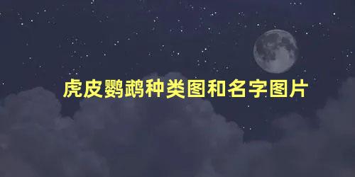 虎皮鹦鹉种类图和名字图片