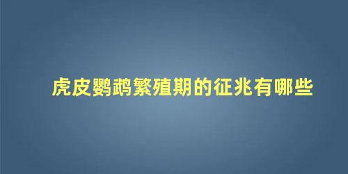 虎皮鹦鹉繁殖期的征兆有哪些