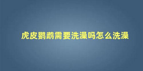 虎皮鹦鹉需要洗澡吗怎么洗澡