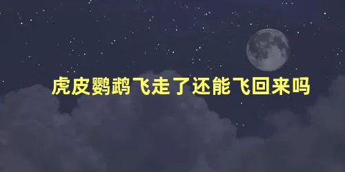 虎皮鹦鹉飞走了还能飞回来吗