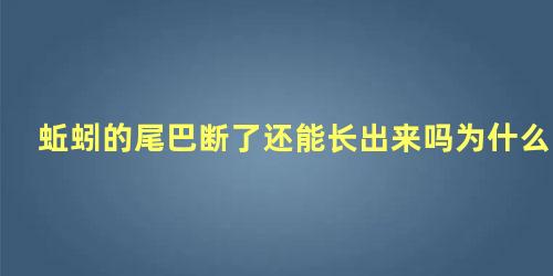 蚯蚓的尾巴断了还能长出来吗为什么