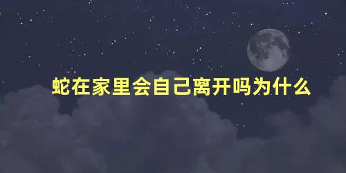 蛇在家里会自己离开吗为什么