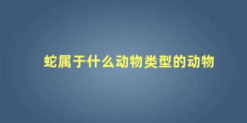 蛇属于什么动物类型的动物