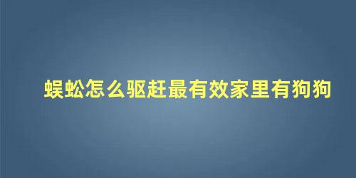 蜈蚣怎么驱赶最有效家里有狗狗