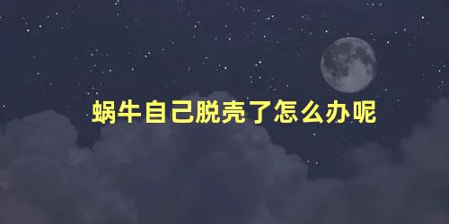 蜗牛自己脱壳了怎么办呢