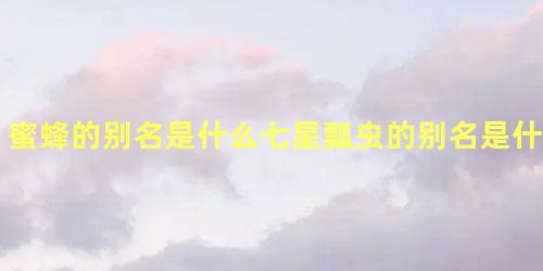 蜜蜂的别名是什么七星瓢虫的别名是什么