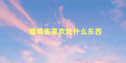 蜡嘴雀喜欢吃什么东西